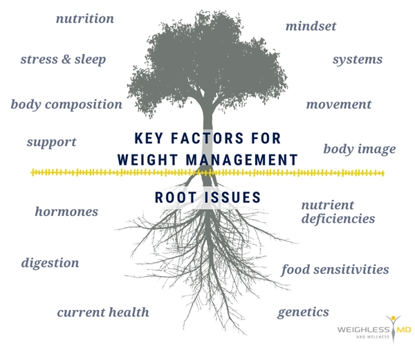 Weight Loss St. Louis MO Key Factors For Weight Management And Root Issues